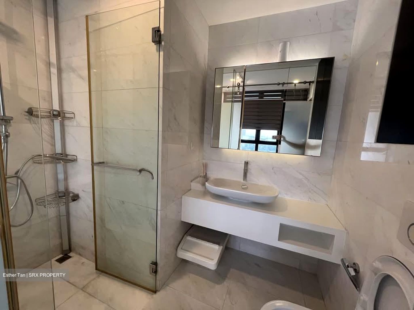 Fulcrum (D15), Condominium #569172381